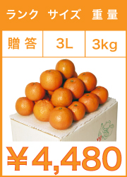 タンカン　贈答用　3lサイズ　3kg