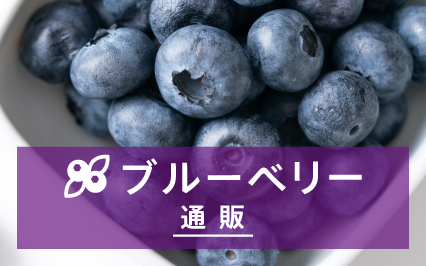 ブルーベリー通販