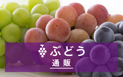 ぶどう通販