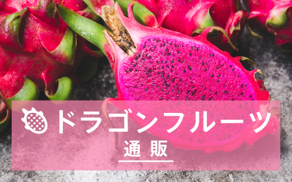 ドラゴンフルーツ通販