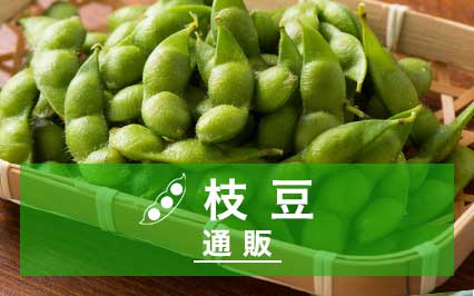 枝豆通販