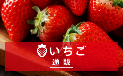 いちご通販