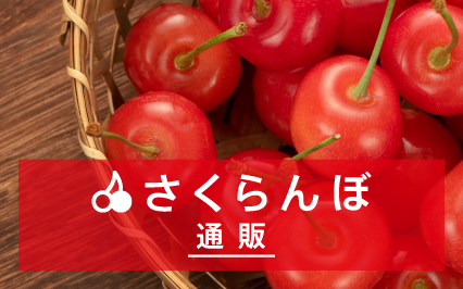 さくらんぼ通販