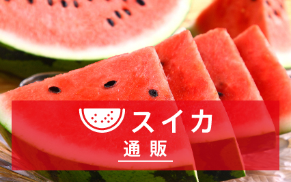 スイカ通販