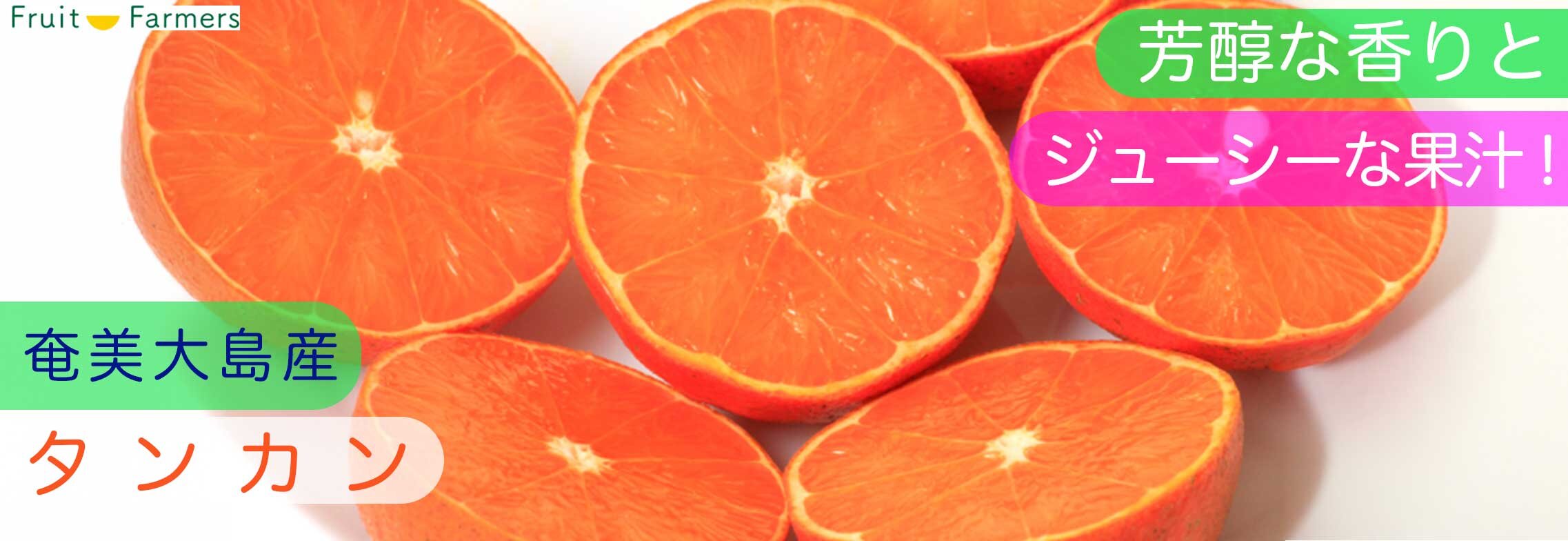 タンカン通販メインバナー2 タンカン通販メインバナー2