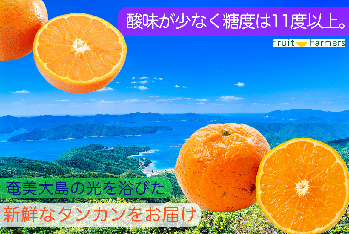 タンカン通販メインバナー1SP タンカン通販メインバナー1SP