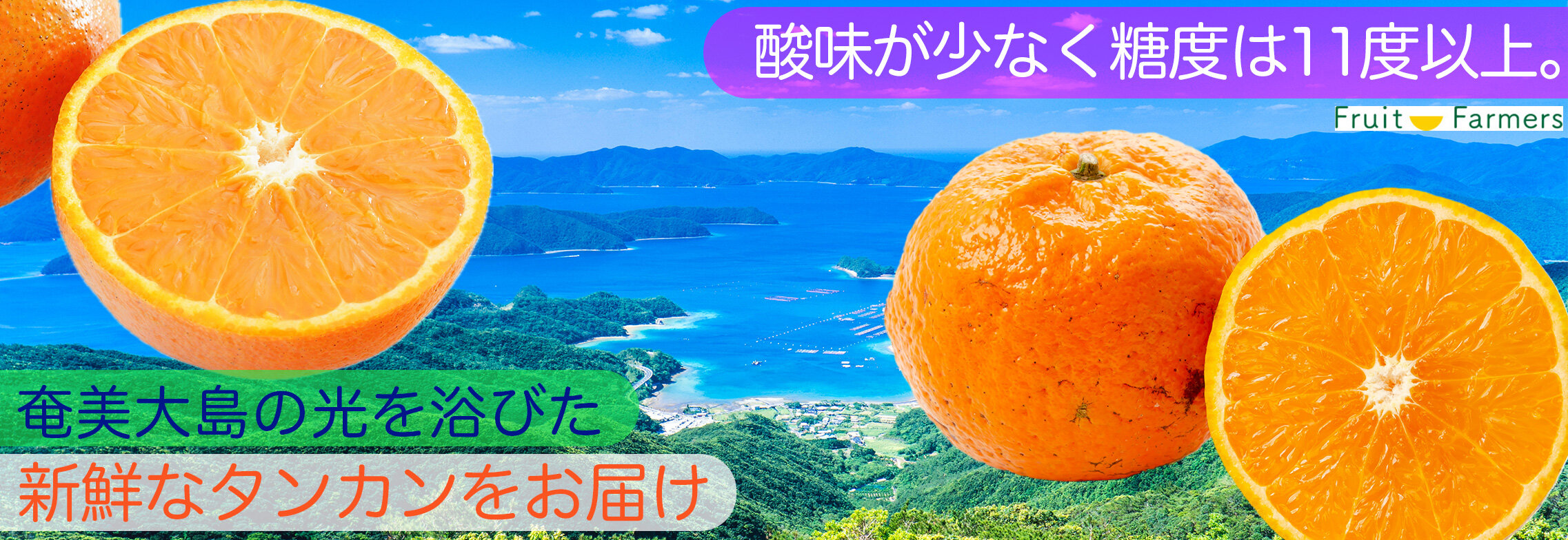 タンカン通販メインバナー1 タンカン通販メインバナー1