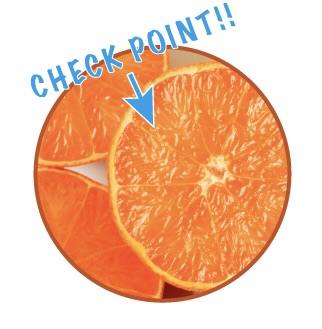 タンカン通販:見分け方、果実の色