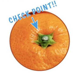 タンカン通販:美味しい見分け方、ヘタ部分